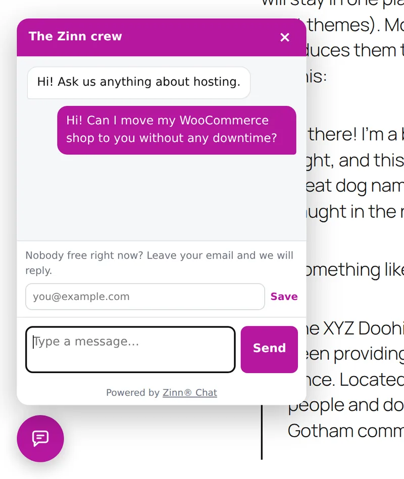 The Zinn® Chat window open on a website, with the team's greeting, a visitor's question and a box for leaving an email address while nobody is free
